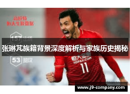 张琳芃族籍背景深度解析与家族历史揭秘