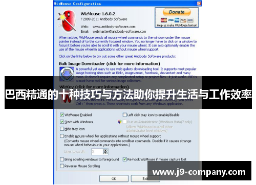巴西精通的十种技巧与方法助你提升生活与工作效率
