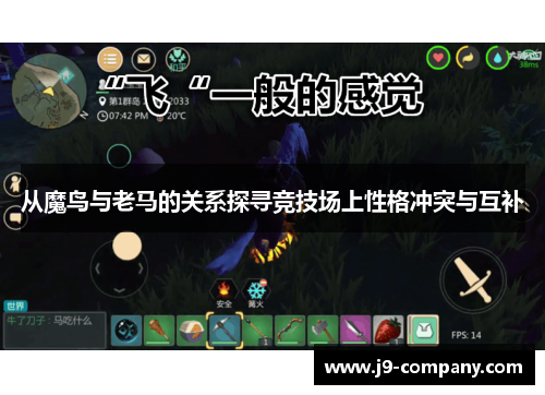 从魔鸟与老马的关系探寻竞技场上性格冲突与互补