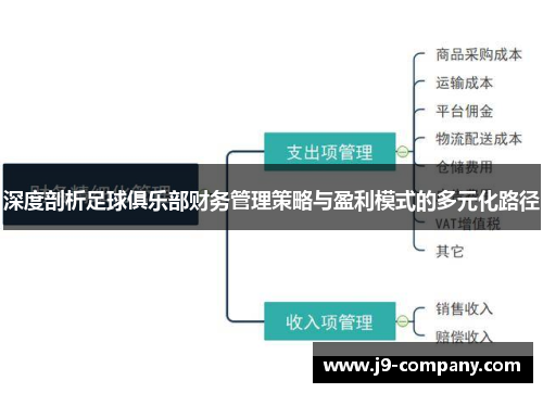 深度剖析足球俱乐部财务管理策略与盈利模式的多元化路径 深度剖析足球俱乐部财务管理策略与盈利模式的多元化路径