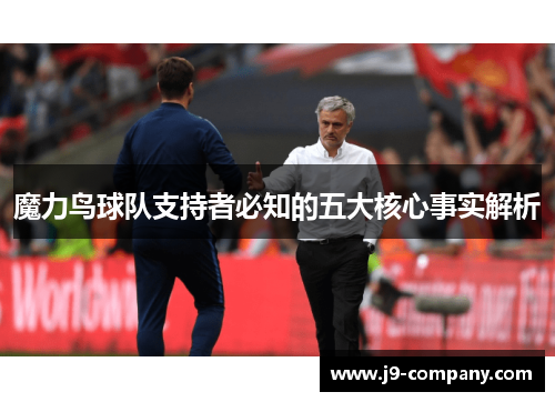 魔力鸟球队支持者必知的五大核心事实解析 魔力鸟球队支持者必知的五大核心事实解析